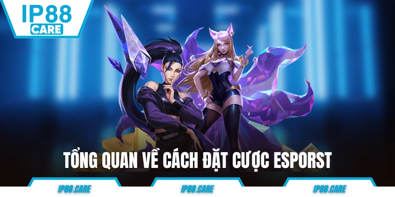 Tổng quan về cách đặt cược eSports