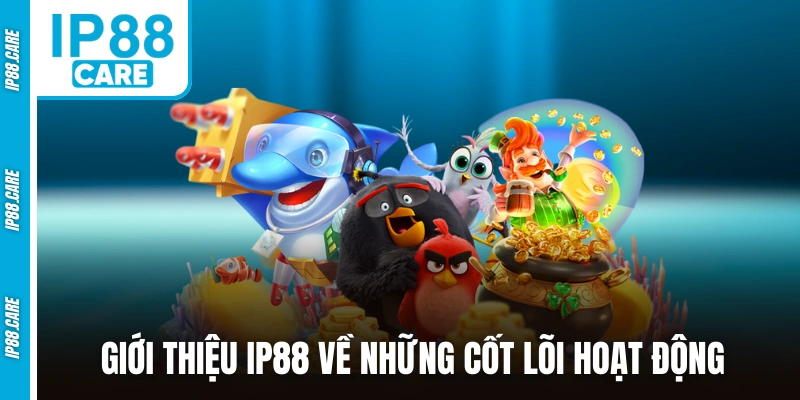Giới thiệu IP88 về những cốt lõi hoạt động