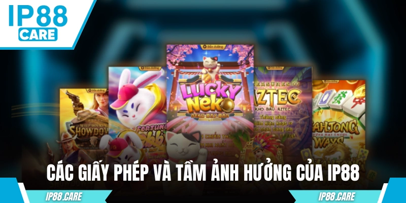 Các giấy phép hoạt động và tầm ảnh hưởng của IP88 